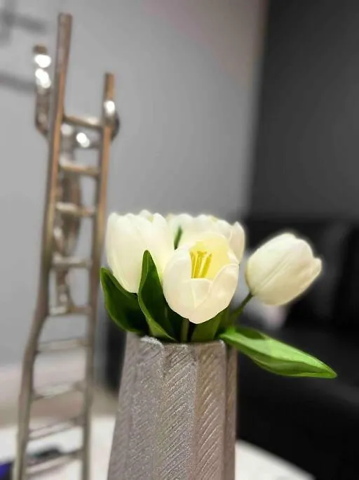 Casita, King Bd/Sofa Bd/Bth/Kitch/Netflix Disney+ Orlando 0*,